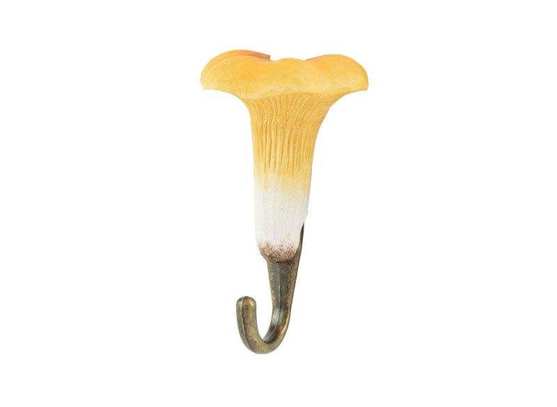 Hook Chanterelle