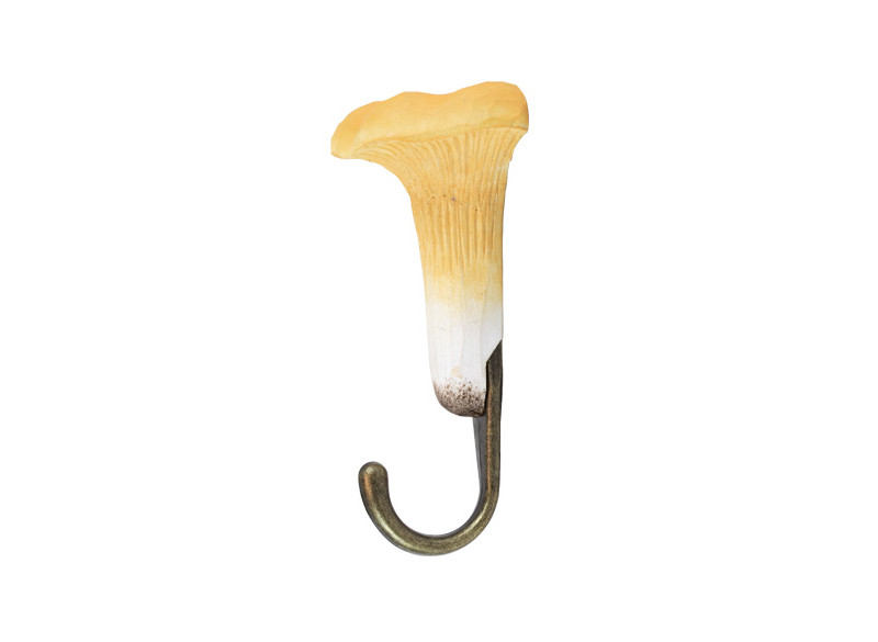 Hook Chanterelle