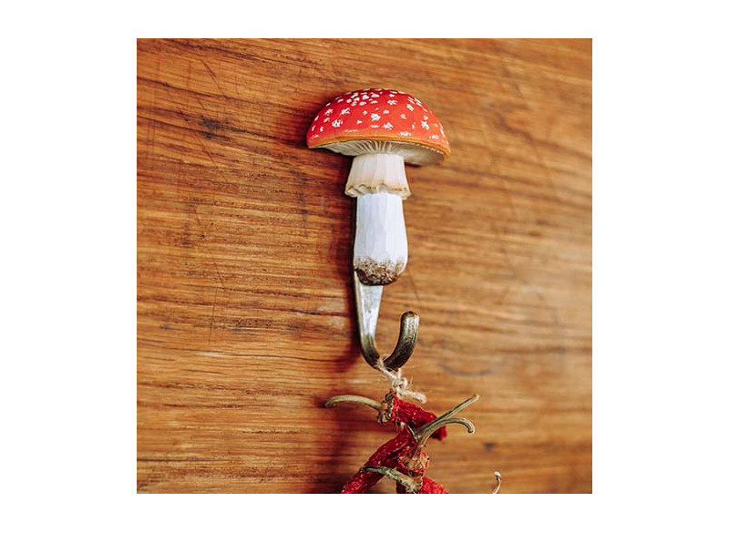 Hook Red fly agaric