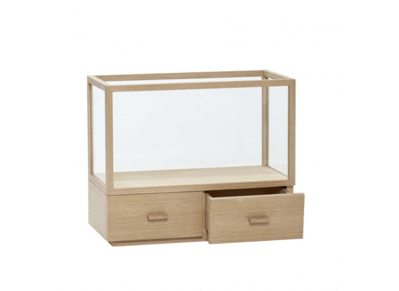 Dispaly Cabinet 50x24x47