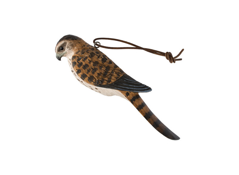 Shoehorn Peregrine Falcon