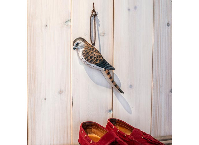 Shoehorn Peregrine Falcon