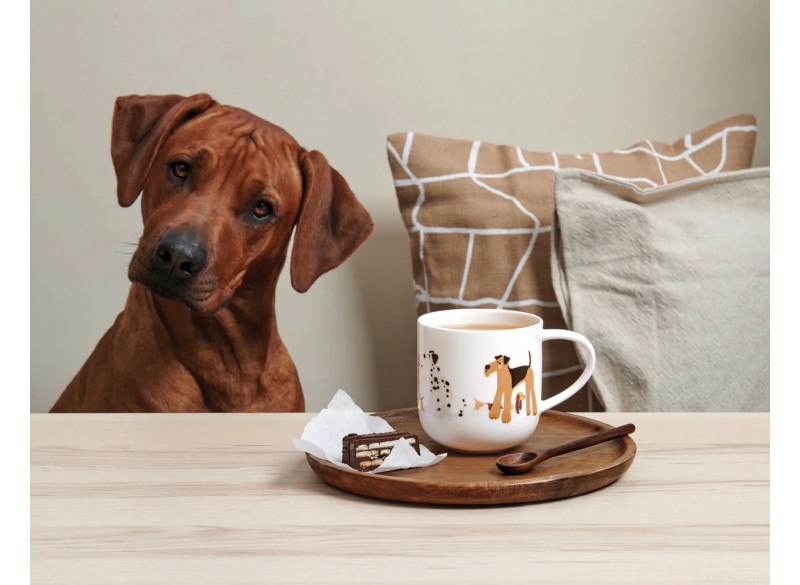 Mug - Basset hound