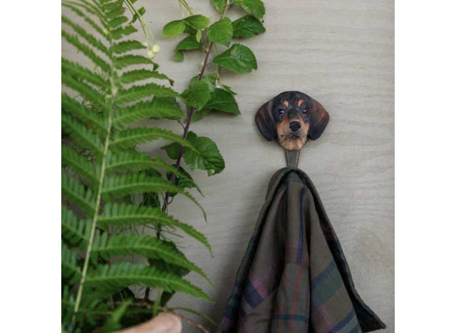 Dyreknage Hund Dachshund