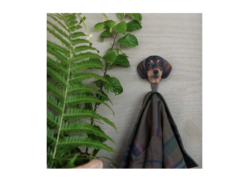 Dyreknage Hund Dachshund