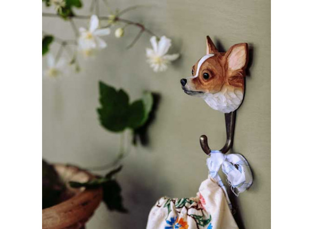 Dyreknage Hund Chihuahua