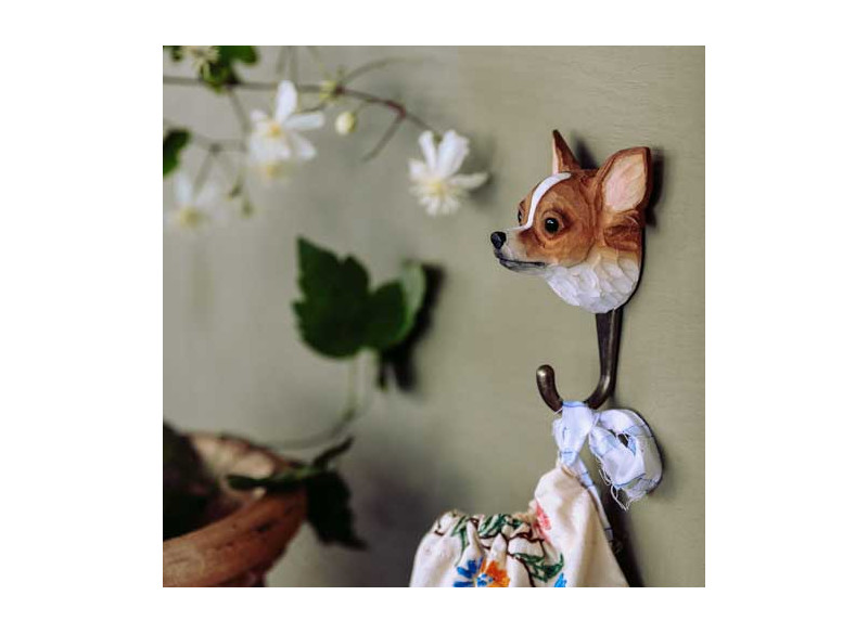 Dyreknage Hund Chihuahua