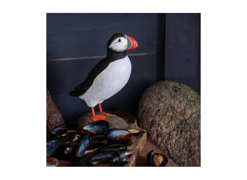 Dekofugl Søpapegøje