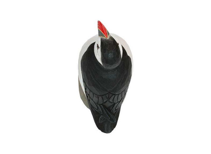 Dekofugl Søpapegøje