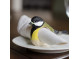 Napkin Ring - Great Tit