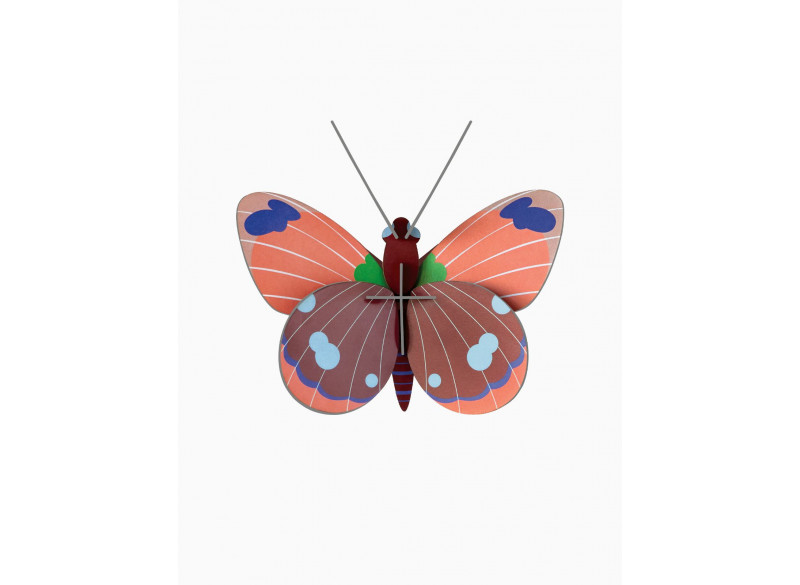 Wall deko Delias Butterfly