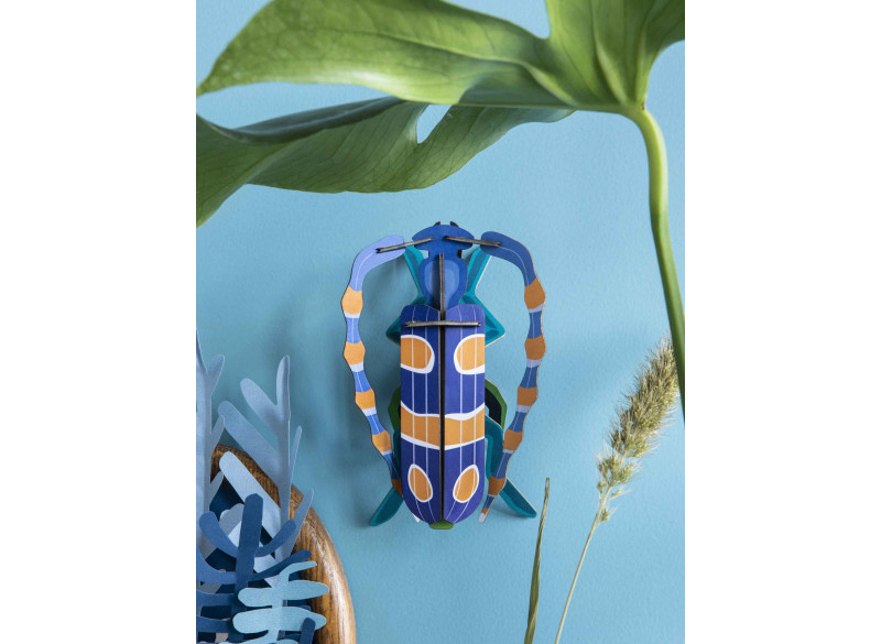 Wall deko Rosalia Beetle