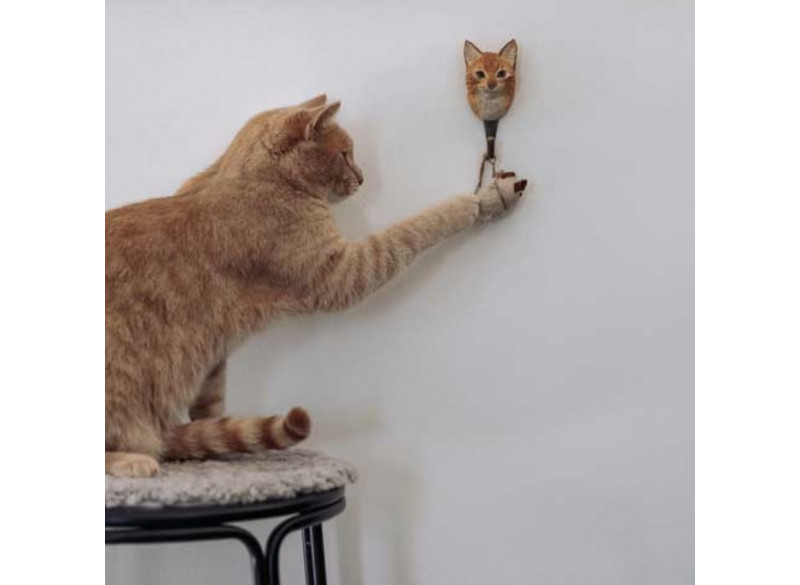 Animal Hook House Cat
