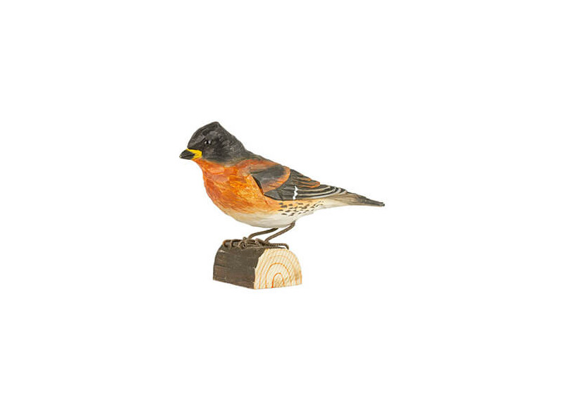 Decobird Brambling
