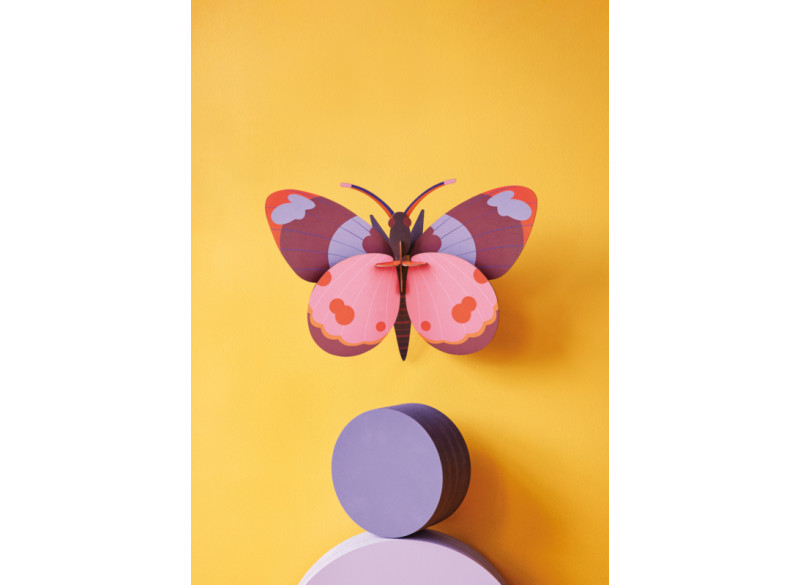 Giant Butterfly Bellissima