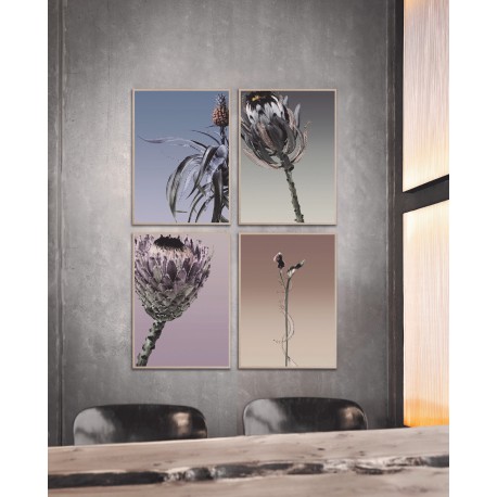 Poster Inner Light A3