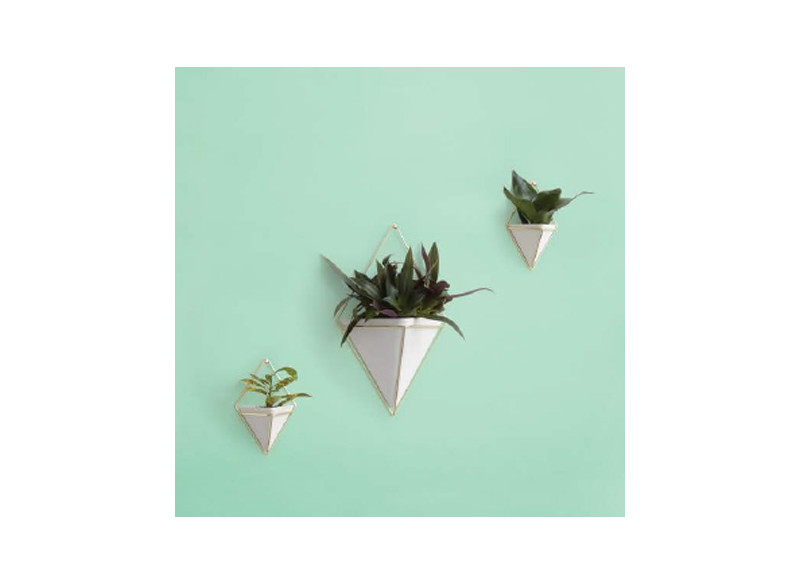 Potteskjuler Trigg stor