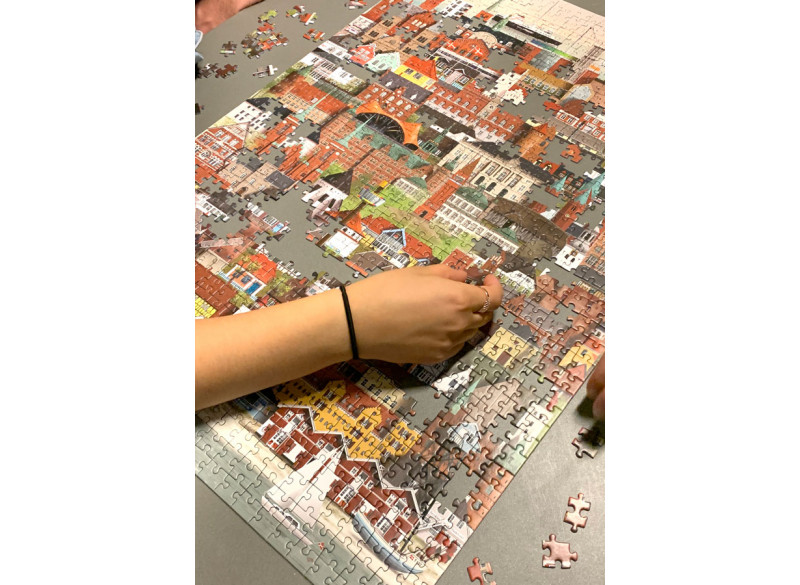 Puslespil Danmark 1000 brikker