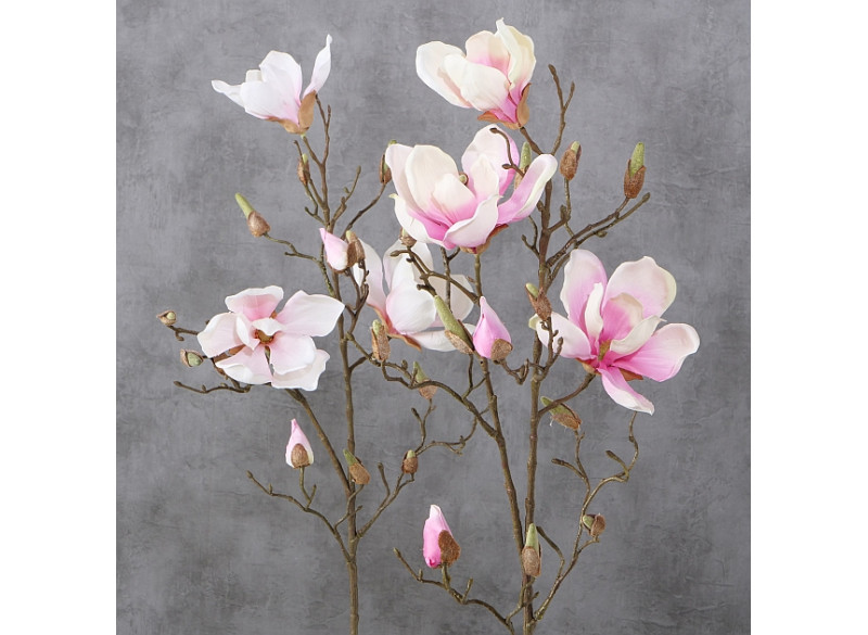 Decorative branch Magnolie, H 89 cm