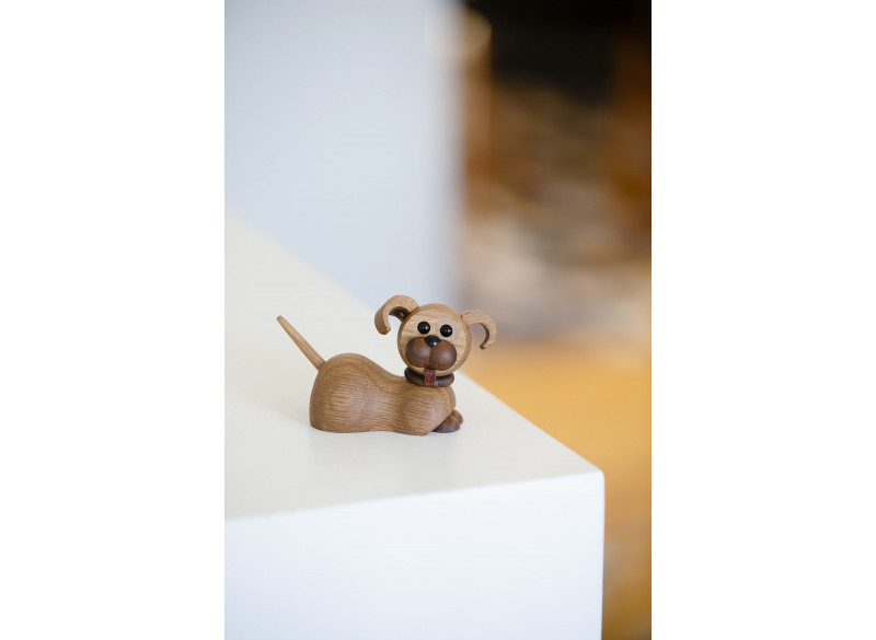 Hundehvalp Coco - eg valnød