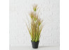 Græs H60cm Onion