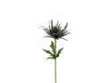 Blue Thistle 25cm