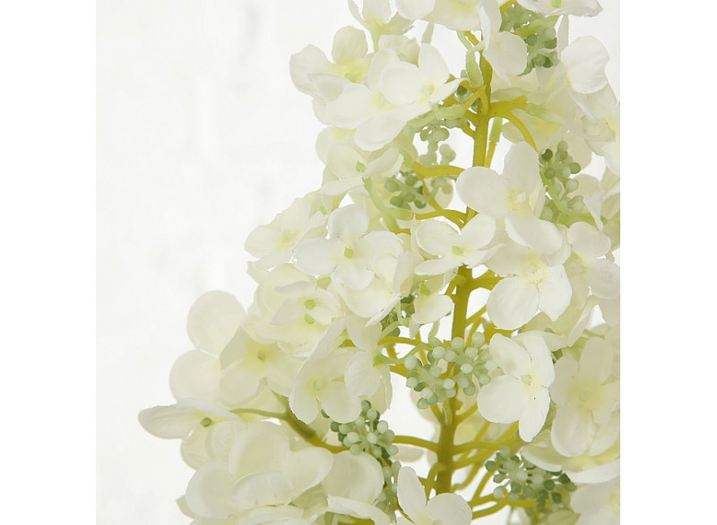 Hortensia Hvid 98cm