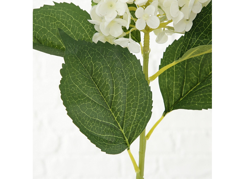 Hortensia Hvid 98cm