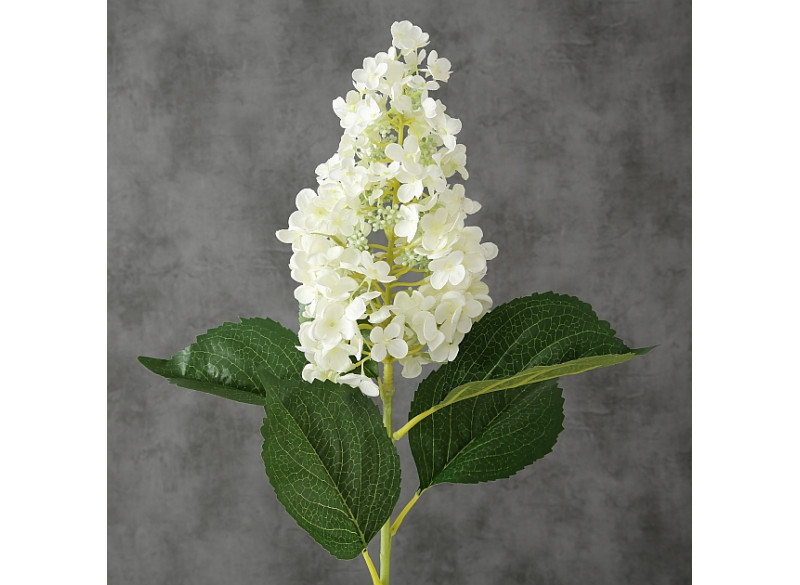 Hortensia Hvid 98cm