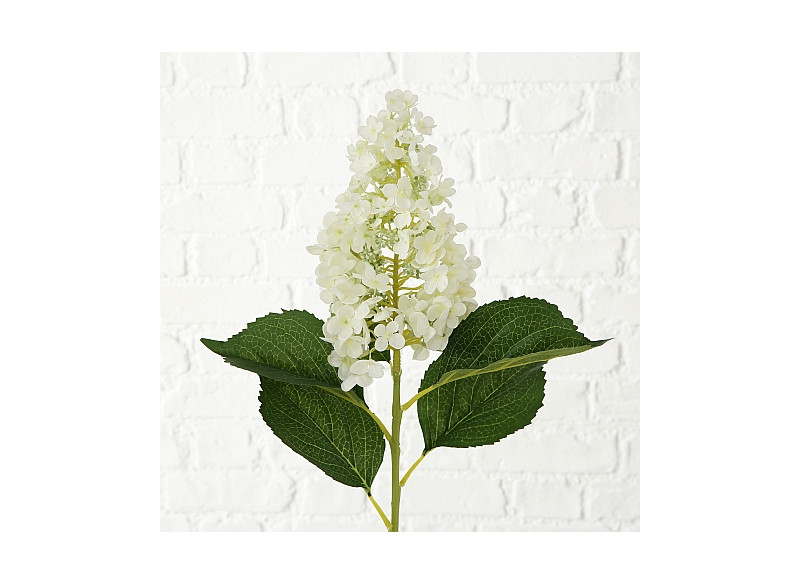 Hortensia Hvid 98cm