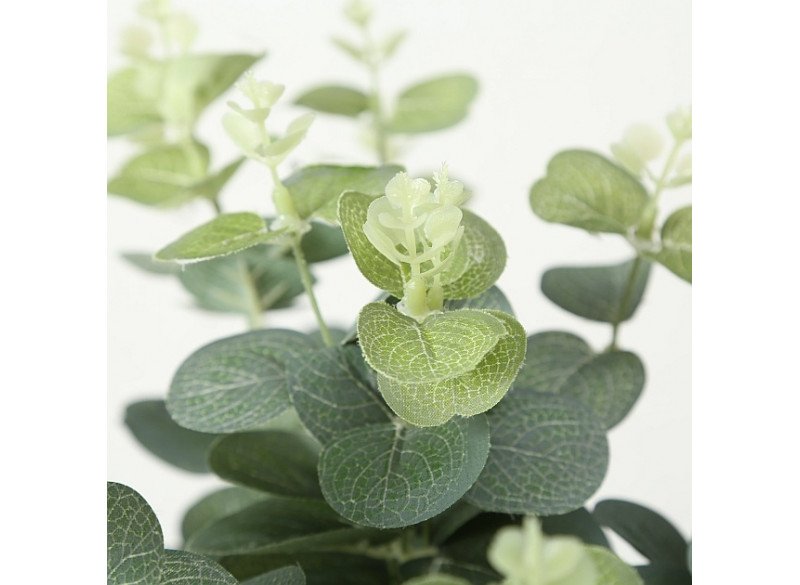 Eucalyptus Spray 50cm