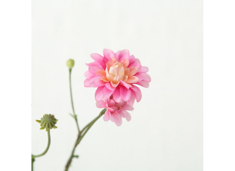 Dahlia på gren H48cm