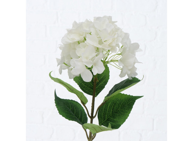 Hortensia Hvide 84cm