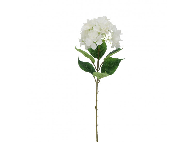 Hortensia Hvide 84cm