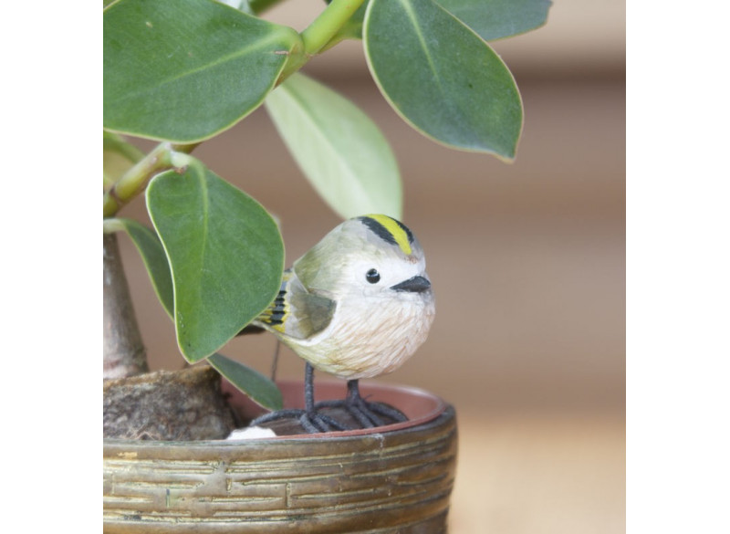 Dekofugl Fuglekonge Spurv